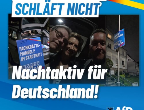 Die Alternative schläft nicht